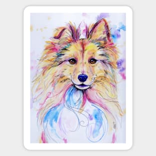 Rough Collie Sticker